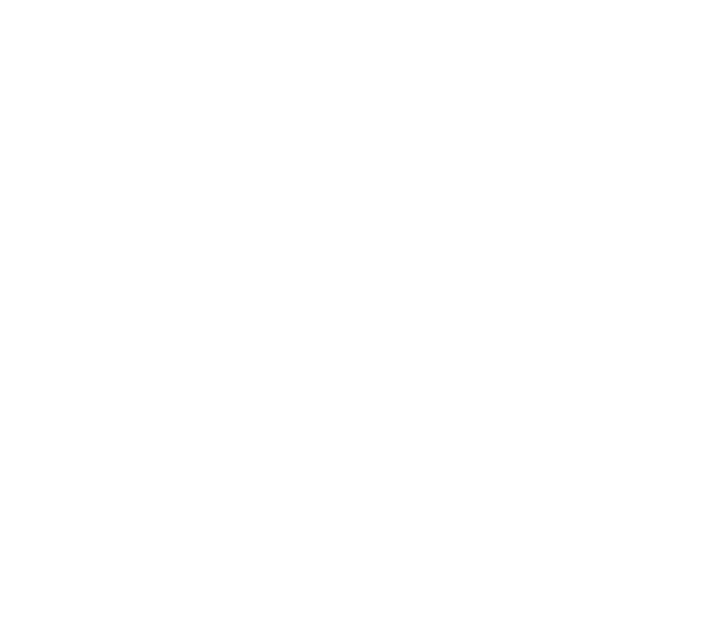Fauzet